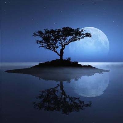 开云(中国)Kaiyun